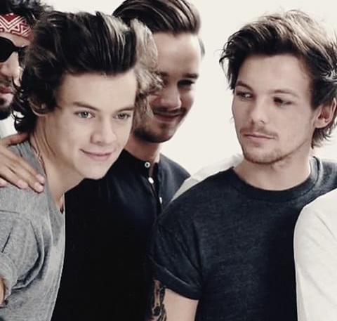 wasfivetagonist's tweet image. Larry

#BestFandomCA2015  Directioners