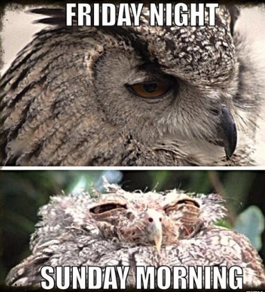 rabbitohsydney's tweet photo. RT if you agree http://t.co/VvY3sAFa8L