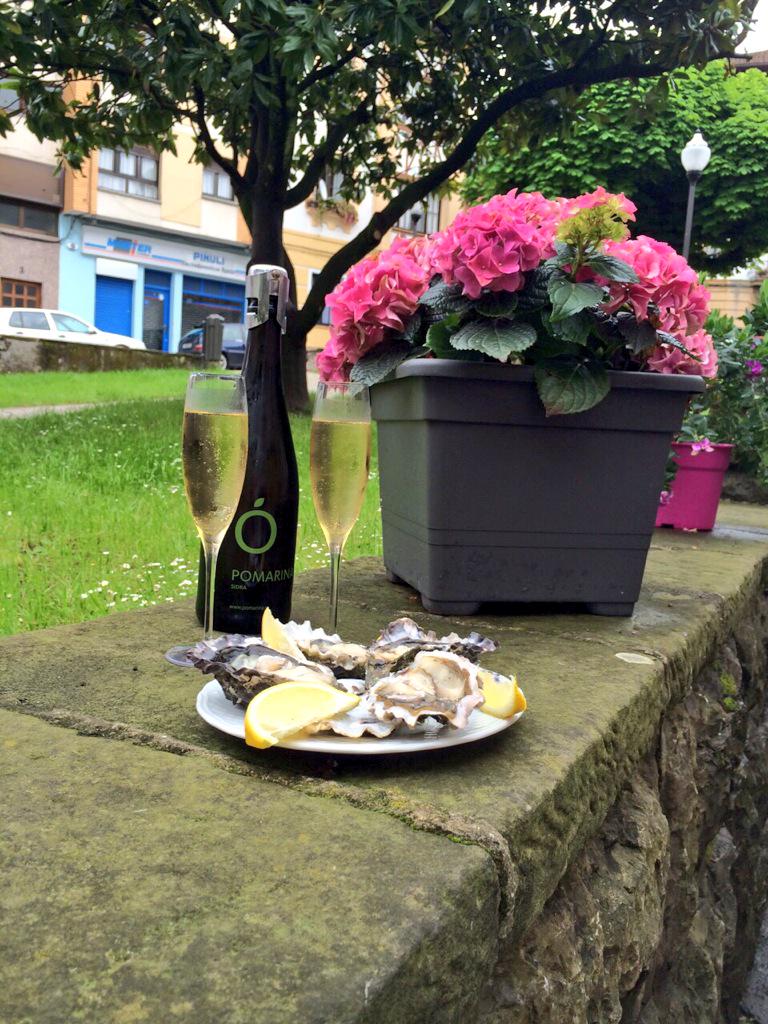 pomarinaES's tweet photo. Oysters&Ciders 👏👏👏👏👏😋 @Pomarinauk #Villaviciosa #Manquin #premiumsparklingspanishcider🍎🍏 http://t.co/0u8R5uknLg