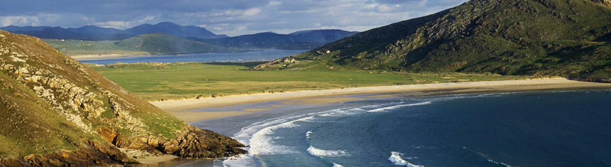 Irish Gypsy tweet media