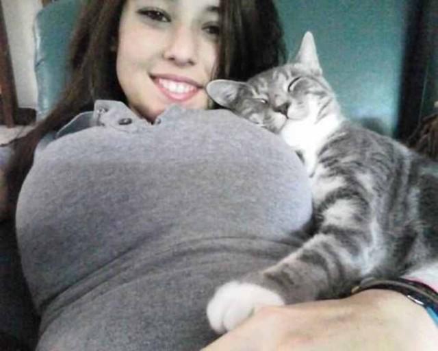 cepifeb's tweet photo. Nenen nya juga haha"@SekilasHumor: Lucu ya kucingnya :| http://t.co/STQ377Zq9Z"