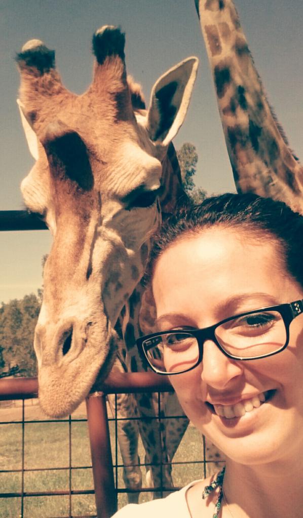 xty_na86's tweet photo. @orange_es mira que #mascotaselfie más chula!! http://t.co/qJ2srnxCDF