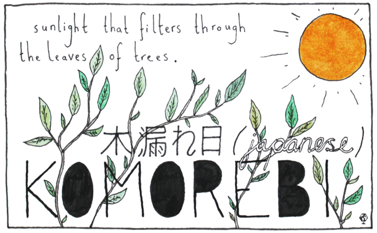 Jtr 日本公式 木漏れ日 は日本語にしかない言葉で英語にやくすとこんな長い訳になる Sunlight That Filters Through The Leaves Of Trees 笑 日本語の中で綺麗な言葉多いね Jtrjp Http T Co Gnocg8bowv Twitter
