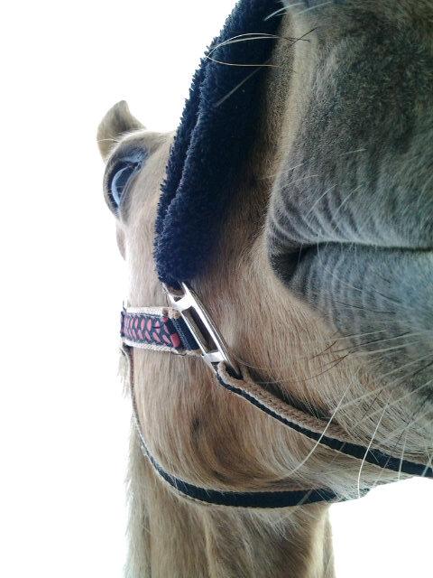 NeighQ1998 tweet picture