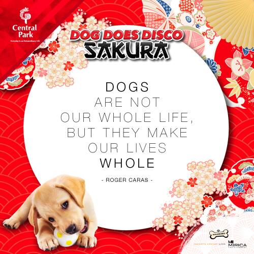 CentralParkMall's tweet photo. DOGS
ARE NOT
OUR WHOLE LIFE,

BUT THEY MAKE OUR LIVES
WHOLE.

#DogDoesDisco2015 #DDDsakura @dogdoesdisco_id http://t.co/Wk013x1zE8