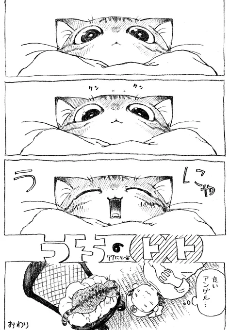 ねこまんが。第77話。長らくご無沙汰しておりました…。ご心配してくれた方、ねこまんがを楽しみに待ってくれていた方申し訳ないです。描きあがり次第今月分をUPして行きますのでよかったら読んでやって、ください!返信遅れとります、へこへこ.. 