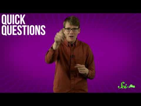 Why Do Flamingos Stand on One Leg? vid.staged.com/BgXo #staged