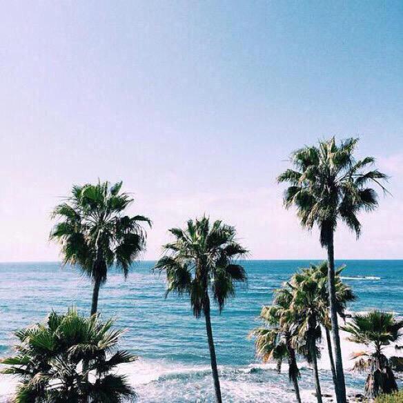 SickViews's tweet photo. I'd rather be here rn http://t.co/OTCqcw0kUF