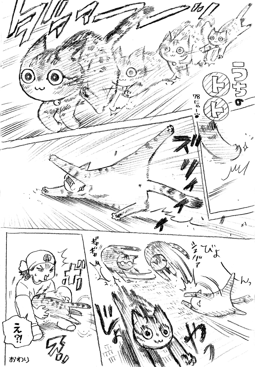 ねこまんが。第78話。4月はあったかくなったり、つめた～くなったり。人のメンタルも一喜一憂。猫の動きもつかめなくなる今日この頃。今自分の目の前にあるものを大切にしていこう。 