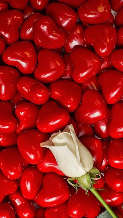 لا تتعجب حين ترى قلوب لا تكره مهما ظلمتها.... وقلوب لا تحب مهما أكرمتها👌💙