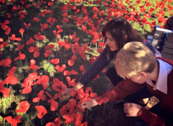 LucyWicksCC's tweet image. Adding a poppy to the Gosford #poppyproject, a stirring local testament to #AnzacDay that stood firm amid the storms