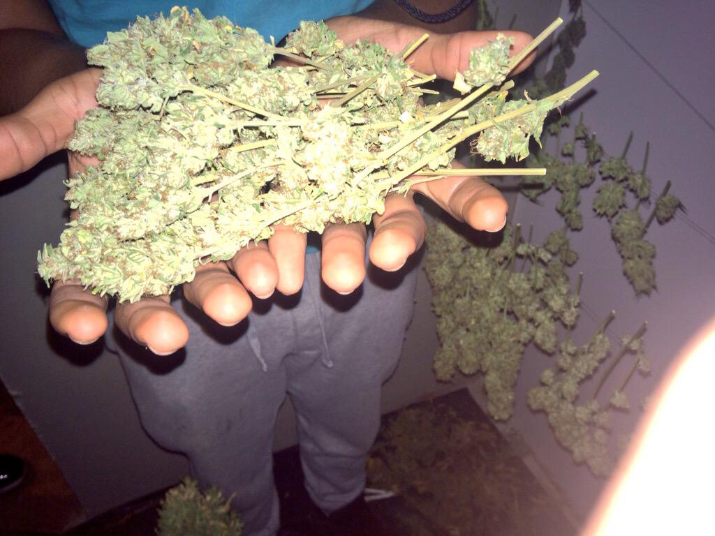 rarenegus's tweet photo. Order T Get FREE Grinder + Cannabis bucket hat 15% off TODAY ONLY! Only @ http://t.co/t1cHYmE2kE http://t.co/U9qLEH9lON