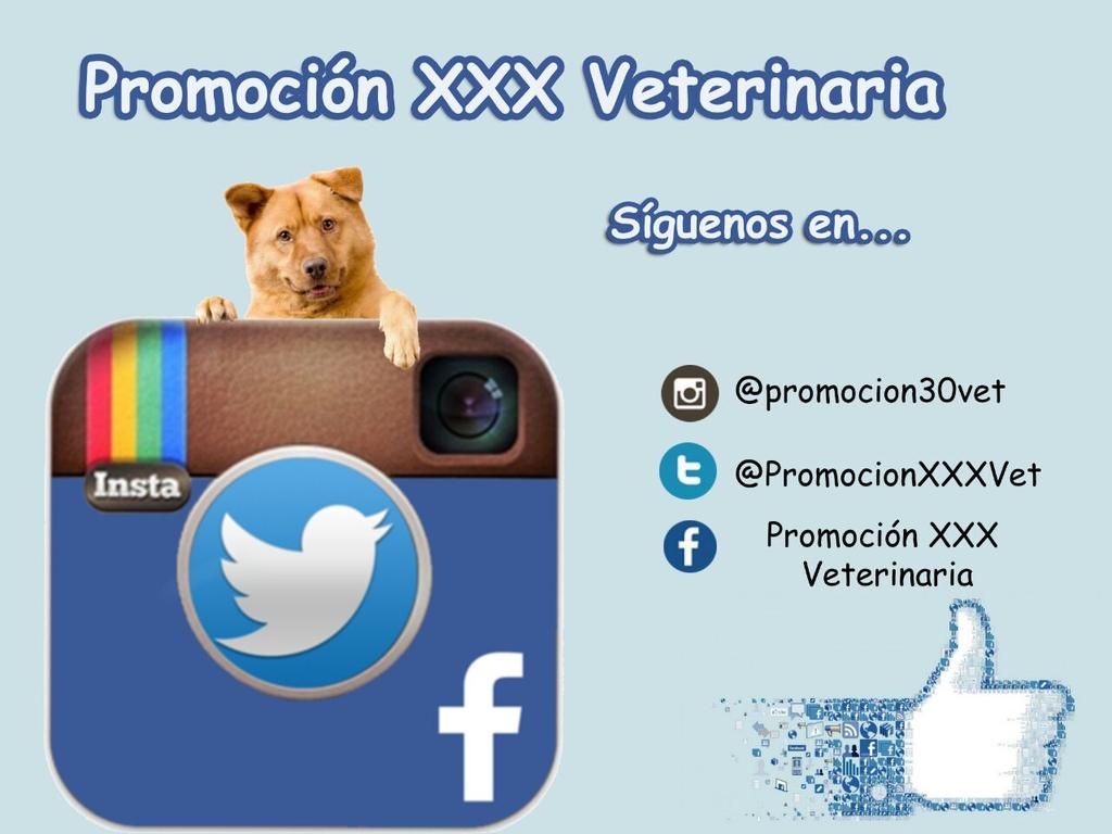 PromocionXXXVet's tweet photo. ¡¡Estáte al loro 🐦 de todas las novedades fiesteras en cualquiera de las redes sociales!! http://t.co/CHHo73hvys
