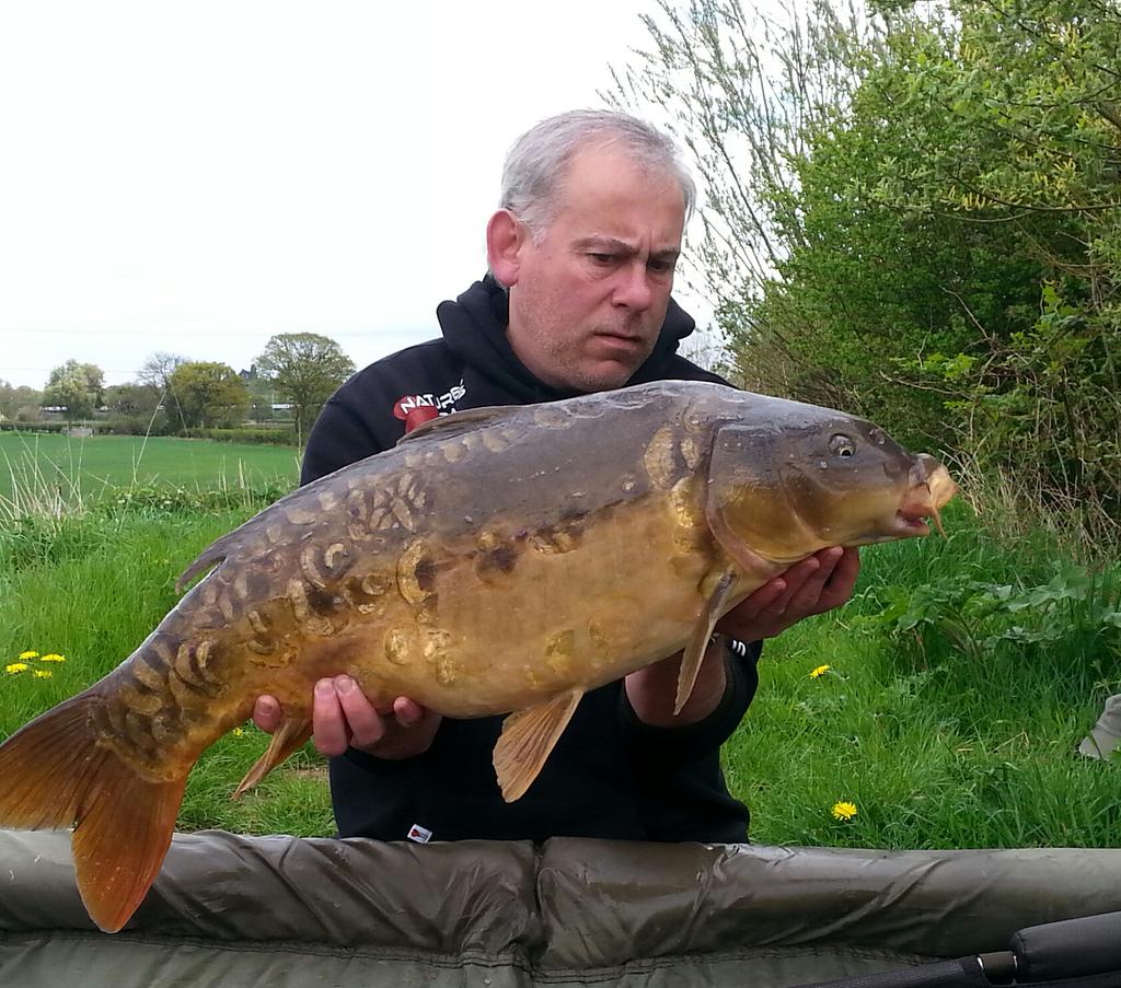 ellicock's tweet photo. @Naturesbaits BloodWormX White ice pop up snowman 21lb10oz two bites in rapid succession
#QUALITYBAIT http://t.co/EUZivKhCCf