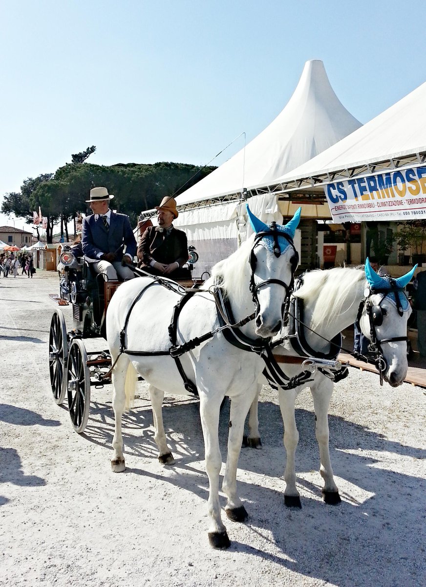 Agrifiera's tweet photo. grande giornata di agrifiera già 10000 presenze http://t.co/ia2MWi5Tb4
