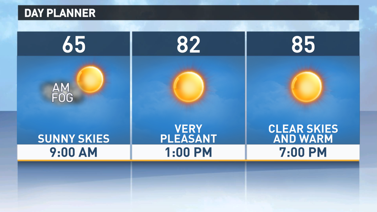 wfaa tweet picture