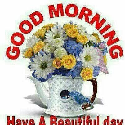 jamalshafi124's tweet photo. http://t.co/CwbYzYExho