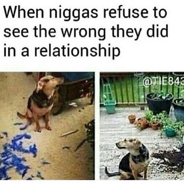 😂😂😂😂😂😂 http://t.co/zCjI2JbnHs<a href="/tag/dherbs"class="tags"><span>#dherbs</span></a><a href="/tag/fullbodycleanse"class="tags"><span>#fullbodycleanse</span></a><a href="/tag/dherbschallenge"class="tags"><span>#dherbschallenge</span></a>