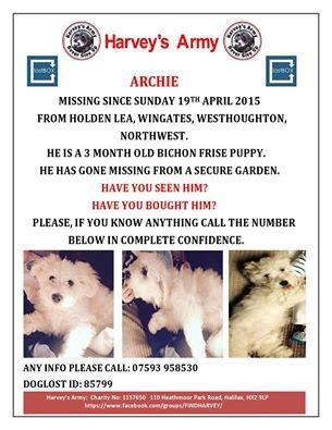 The_DogAngel's tweet photo. RT Family's appeal after puppy '#STOLEN' from garden in Westhoughton #Manchester 🙏 #Help #FindArchie 07593 958530 http://t.co/nsCBQ7knff
