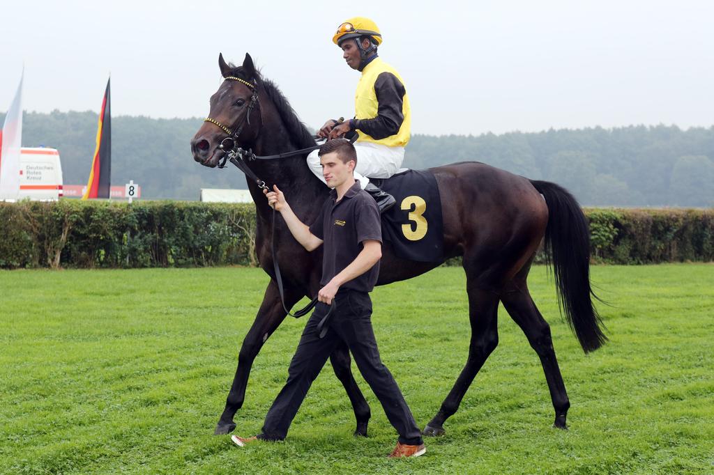 German Racing Review tweet media