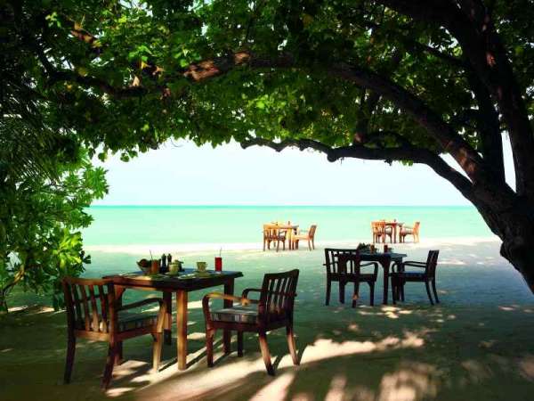 Travel To Maldives tweet media