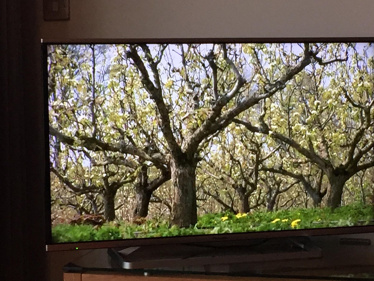 ACGoatham's tweet photo. #British #ConferencePearFacts | Cultivated in Cambridgeshire in 1884! 

Fast Fwd 16mins in: 
http://t.co/hZNLoBFIdc http://t.co/bunfWazVPw