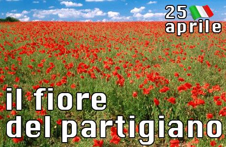 marcobalatresi's tweet photo. #buon #25 #aprile #resistenza #libertà #liberazione #storia #memoria http://t.co/4okh5o2oZ0
