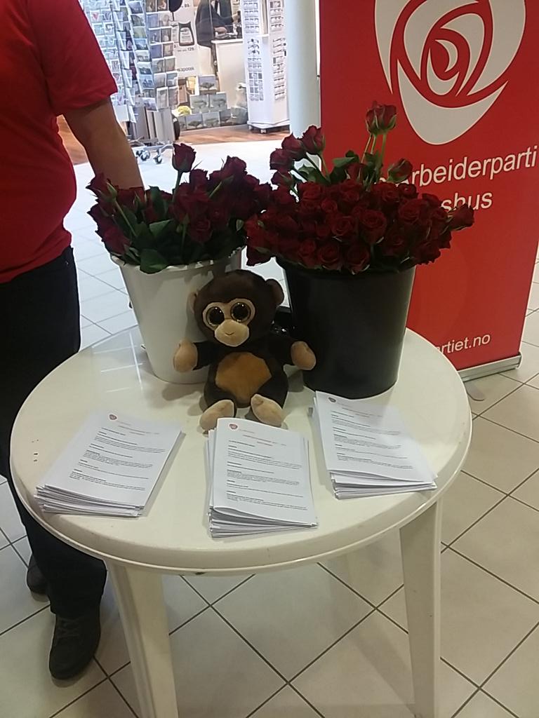 NesAUF's tweet photo. Manuel er med ut og driver valgkamp på Årnes i dag :) http://t.co/YTTigf0lR9