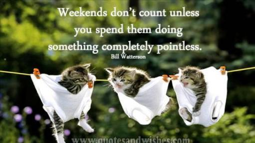 TerriGauthor's tweet photo. 💜@jssauthor @KimWhaley72 @AuthorLE @Amber_Gladson @67shelby78 @pretti_patty @ElusivelyElla @drumjoy @karenfrances12 http://t.co/7eu7fPw2An