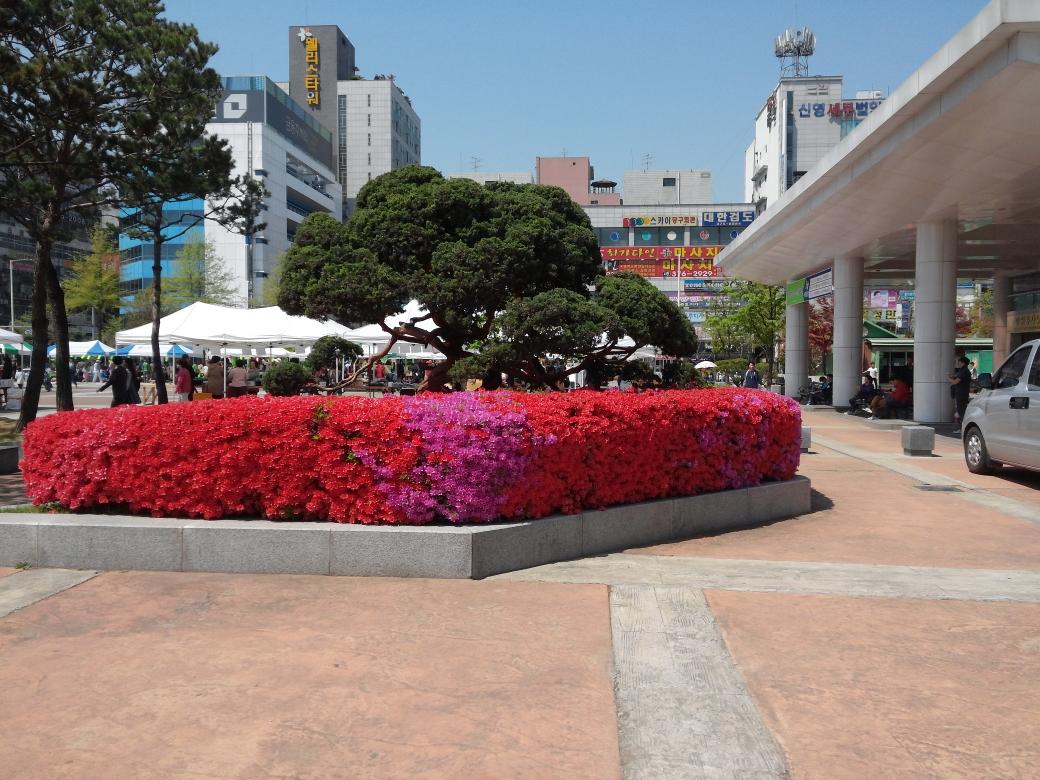 배달국 거발환 환웅천황 (@naderoseo90) on Twitter photo 