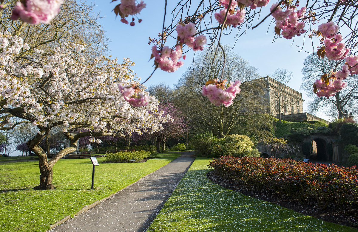 TraceyWhitefoot's tweet photo. Spring is everywhere! :) #nottmcastle #spring #blossom #lovenotts #nottmrocks #nottingham http://t.co/DAH5uVEdFu