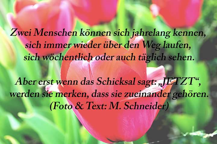 2 Menschen Lieben Spruche Zitate Zu Lieben 2020 03 03