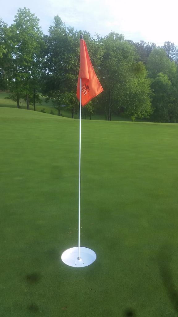 Lee Bailey tweet media