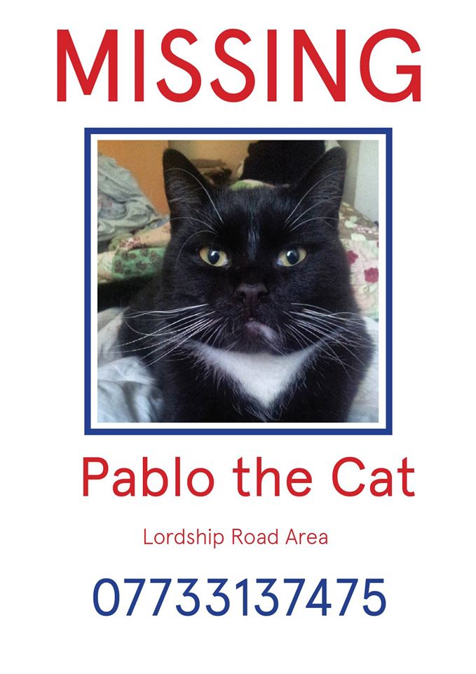 MT <a href="/StokeyCatsnDogs/">Stokey Cats and Dogs</a>: Missing from N16 5HB. @CatsNorthLondon <a href="/Catswhiskersuk/">Cat’s Whiskers</a> <a href="/RSPCALondon/">RSPCA Cen&NE London</a> <a href="/RSPCA_official/">RSPCA (England & Wales)</a>