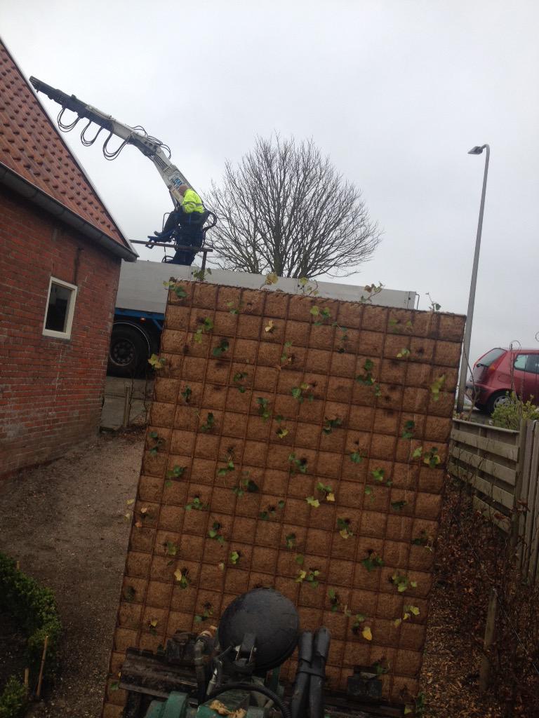 Vanmorgen een #GreenWall afscheiding geplaatst #hoveniersbedrijfmadhuizen