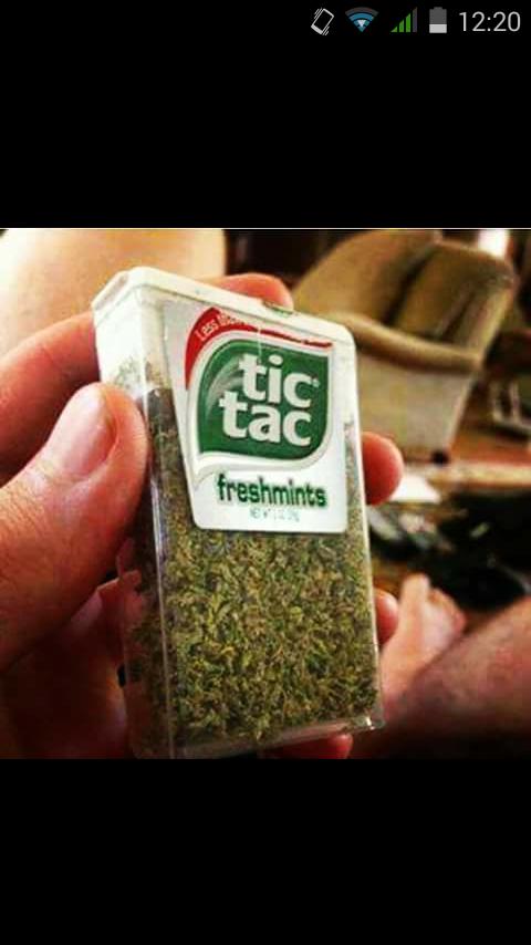 Aka L'Alien tweet media