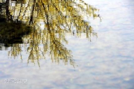 상처는 언제나 주는
사람보다 받는 사람의
마음이 아프다

나는 상처 받을 일을
하지 않았다
생각 하기에 더큰 상처가
내게 남겨진다

생각은 언제나 
나의 마음과 같지는
않다.