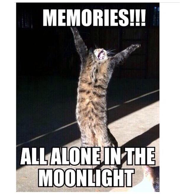AntoineTugger's tweet photo. @CatsMusical can't believe it's the last day!!! Words can't describe the experience it has been!! http://t.co/Ee5y7aZQPM