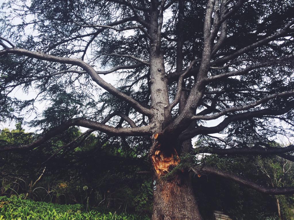 Bianca Asher tweet media