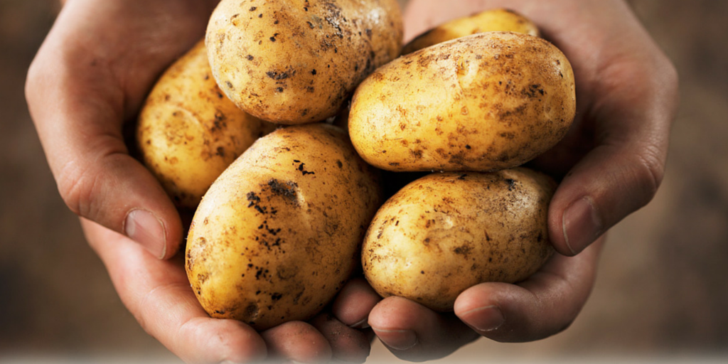 SurvivalLF's tweet photo. Learn how to grow 100 pounds of potatoes so you never go hungry: http://t.co/1QgiPgedQ4 #DIY #foodpreparedness http://t.co/DttPb9dkLs