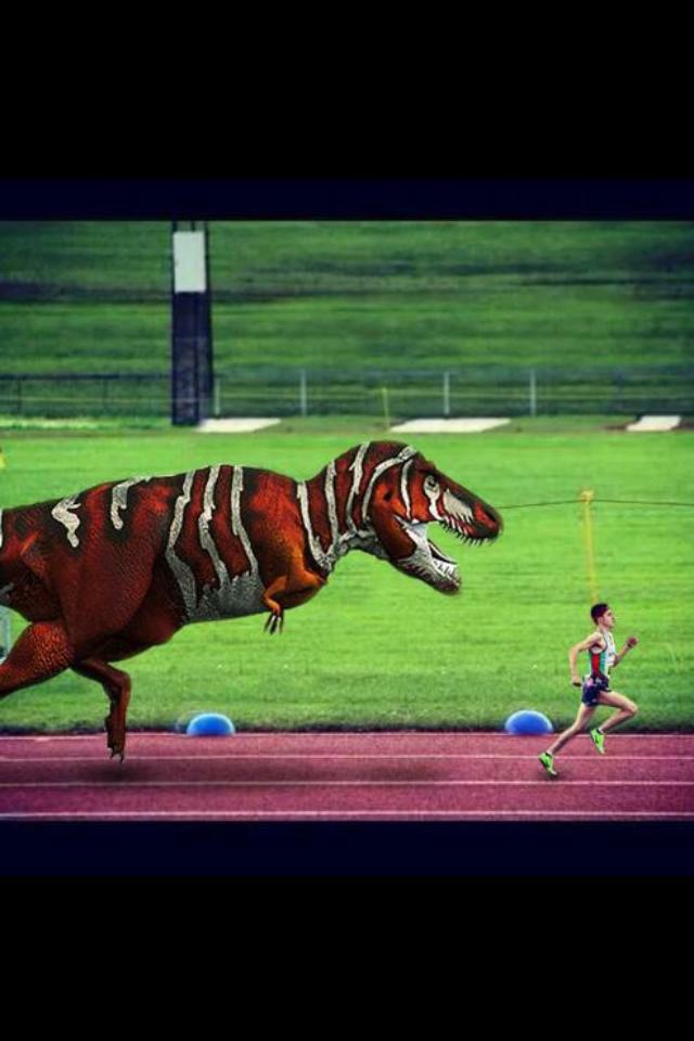 team_haymes's tweet photo. #HaymesFact Haymes features in a scene in the upcoming Jurassic World film #YesHeActuallyUsedThisAsAProfilePicture http://t.co/rHmEUiGoi6