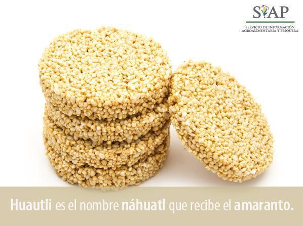 CDI_mx's tweet photo. ¿#SabíasQue Huautli es el nombre #náhuatl que recibe el amaranto? #LenguasDeMéxico   @SIAP_SAGARPA http://t.co/pX42E3c5YK