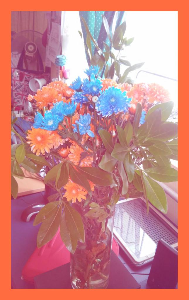 PALOMAVARGASGPE's tweet photo. Flores de colores por la mañanita 💐🌸🌷🍀🌹🌻🍄 http://t.co/UwLUl2HSu7