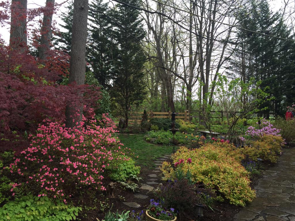 NRVGardenTour's tweet photo. #spring perfection in #Blacksburg ! http://t.co/ovYZ1UmA7e