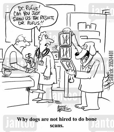 NJOrthopaedic's tweet photo. Why we don’t hire #dogs to do #BoneScans… #SillySaturday #OrthopaedicsHumor #NJOI http://t.co/Ppqati4rLw