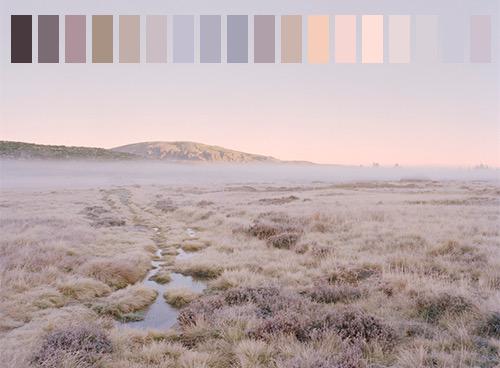 COLOR PALETS FOR THE SIGNS 

ARIES