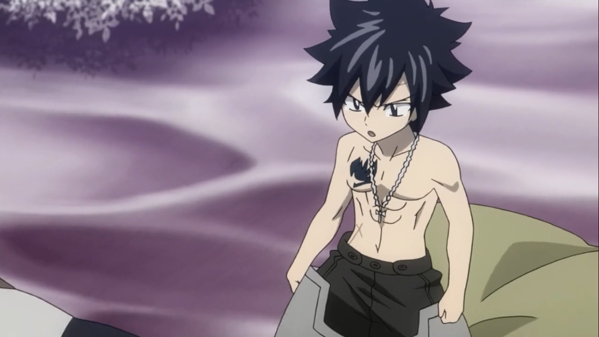 フェアリーテイル アニメ 順番】ヴァイスシュヴァルツ 純粋な瞳