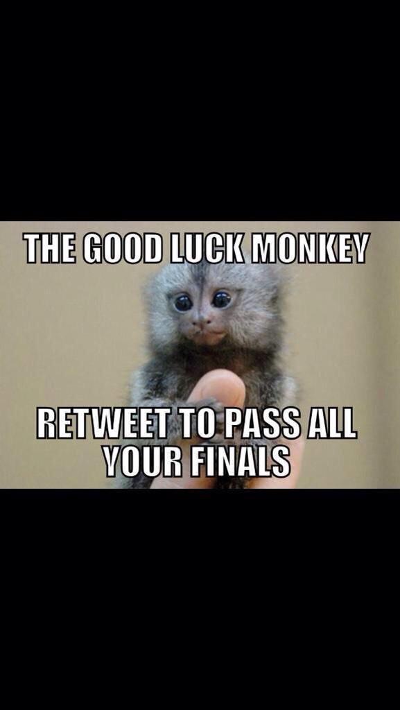 iBelieveInFts's tweet photo. Don't let finals take away from your gains! 
Goodluck everyone! http://t.co/DJdGQrLqeE