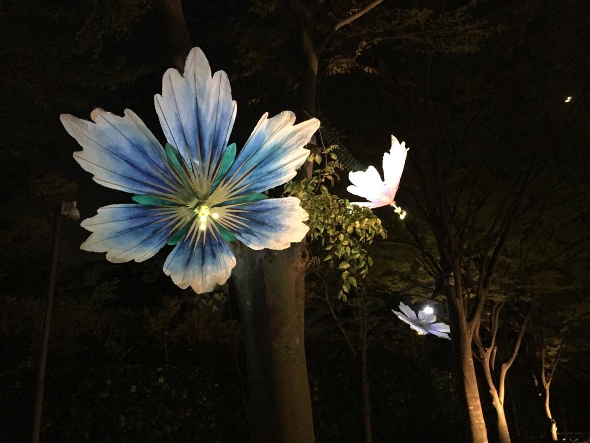 r_artnight's tweet photo. 国立新美術館 の街なかインスタレーション《Bloom��。巨大な花がゆっくりと稼働する機械彫刻作品。自然のなかに溶け込み存在するこの作品は、あなたにひとときの安らぎを与えてくれるはず。#六本木アートナイト http://t.co/2GNhiezWgz