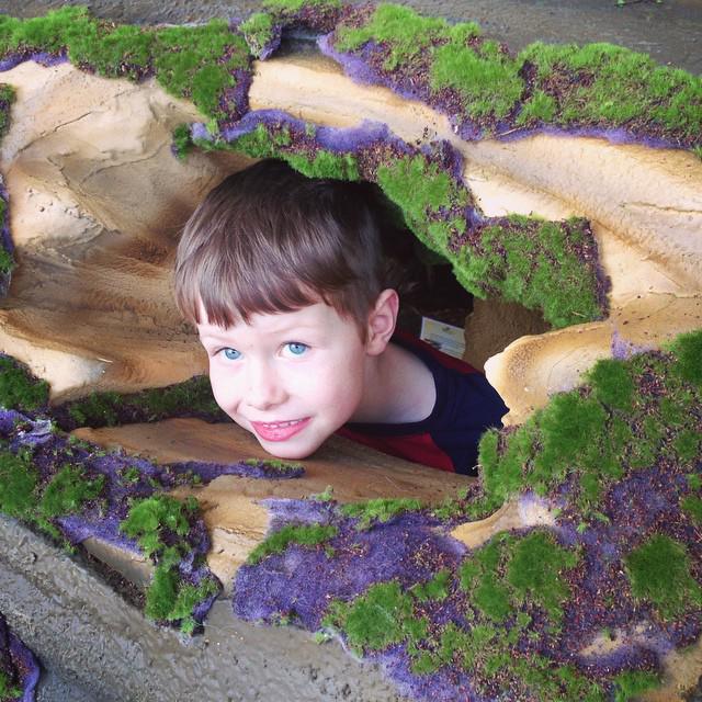 UptownCle's tweet photo. It's the last weekend for BIG SPRING at @cbgarden!!  Come have some fun! #UptownCLE #UniversityCircle http://t.co/paYlWAeMH9